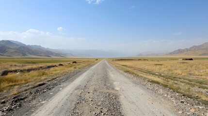 Fototapeta premium straight long road in desert land