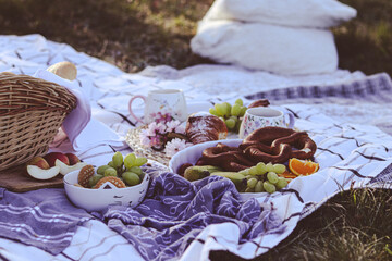 mushrooms in the garden