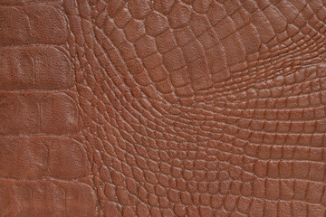 爬虫類柄　革の表面