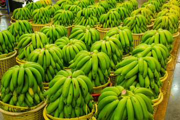 Big bunch of bananas on sale in the market