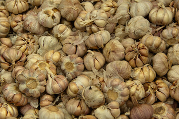dry garlic in market for cooking