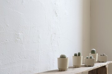 サボテンと余白