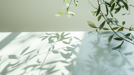 a white table with a birds eye view, sunlight shining in and reflections of leaves