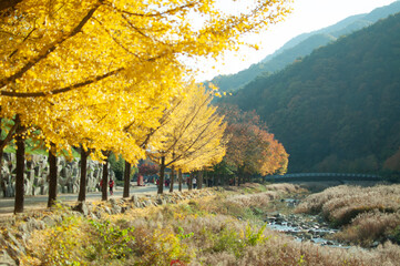 autumn in the mountains