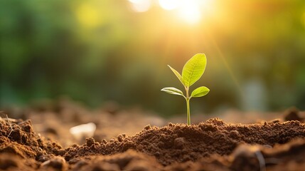 A small plant with leaves is emerging from soil in a natural landscape-Ai Generated