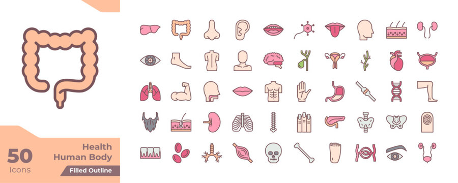 Human Body Filled Color Icons