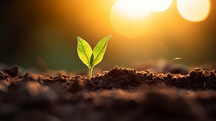 A small plant with leaves is emerging from soil in a natural landscape-Ai Generated