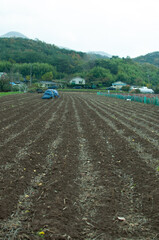 tractor in the field