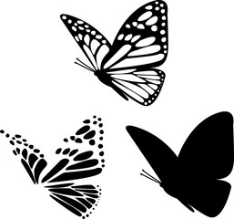 Spring Side View Butterfly Silhouette Decoration. Exotic Vector Icon on White Background. Wildlife Decor. Vintage Butterfly Wing Contours Closeup Design Element. Side View Insect Illustration for Home