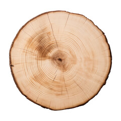Fototapeta premium PNG Plant wood tree deforestation.