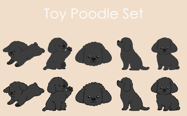 Simple and adorable black colored Toy Poodle illustrations set