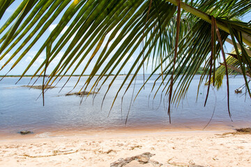 Seaside of a beach against blue sky.