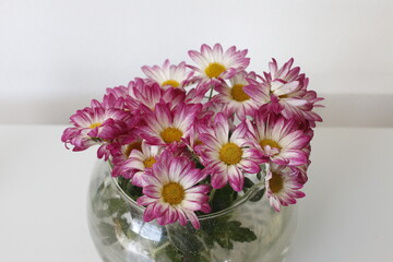 bouquet of flowers in vase