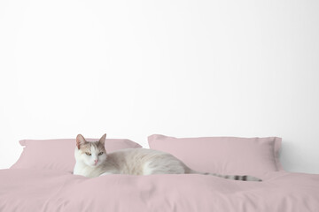 Bedroom wall png mockup, transparent design