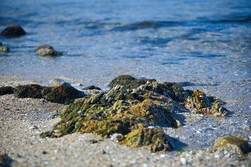 ゴツゴツした岩の潮溜りの透き通った青い海