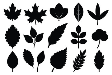 Set of leaf black Silhouette Design with white Background and Vector Illustration