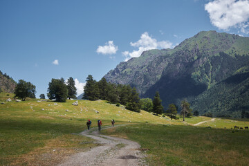 Hikers with backpacks trek along a path in a lush mountain valley with clear blue skies overhead