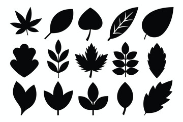 Set of leaf black Silhouette Design with white Background and Vector Illustration