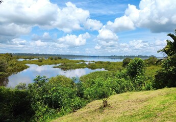 landscape with trees and blue sky