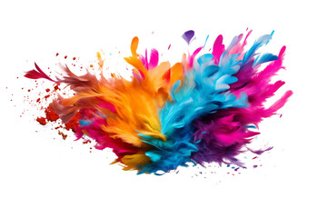 Obraz premium color feathers isolated on white