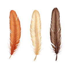 color feathers isolated on white