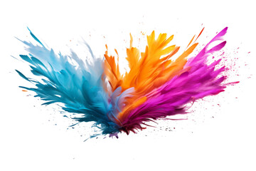 Obraz premium color feathers isolated on white