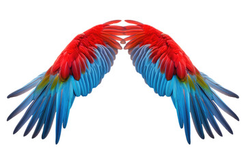 Obraz premium color feathers isolated on white