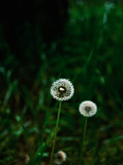 a beautiful natural scenery