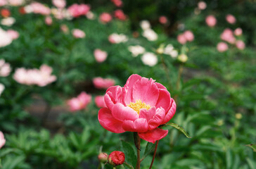 a beautiful natural scenery