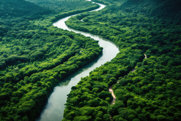Aerial View of Serpentine River in Lush Forest