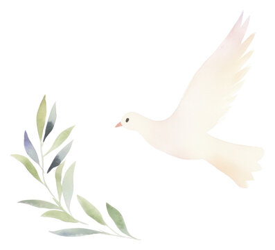 recommend clip art: PNG Peace dove with olive branch white bird white background.
