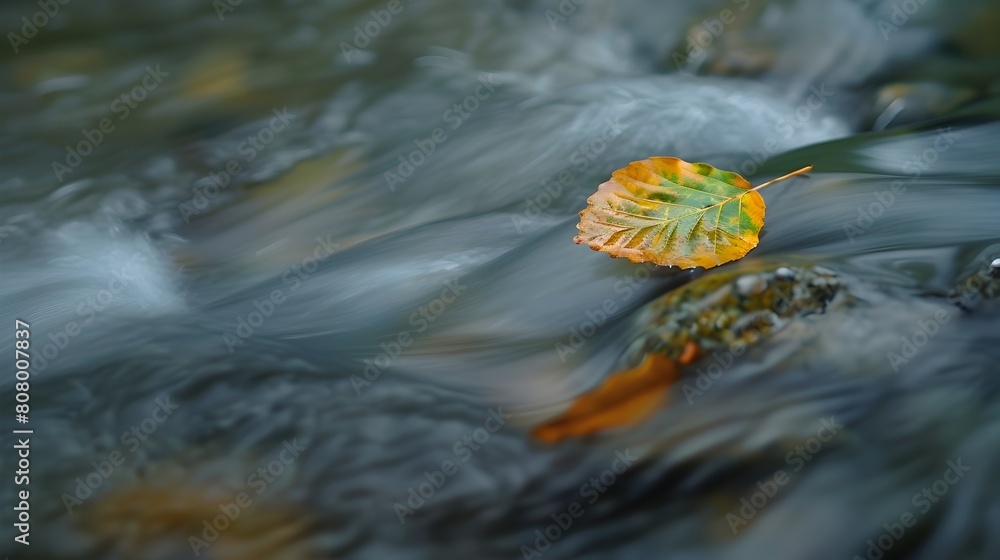 Poster leaf flowing effortlessly along a peaceful stream symbolizing the tao of efficient movement