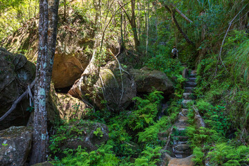 Fototapeta premium hiking in the Isalo national park in Madagscar