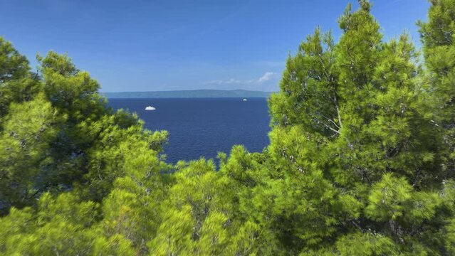 AERIAL: Flying over the fragrant pine trees of Korcula reveals the vast Adriatic sea. Picturesque aerial view of the lush Mediterranean coastline and the deep blue Adriatic sea on a sunny summer day.