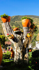 panoramicas y vida C&aacute;cota