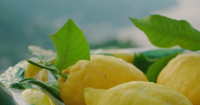A close-up of lemons with green leaves on a sunny balcony with blurred coast sea in the backdrop.