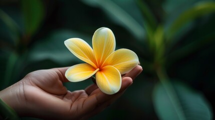 A person holding a yellow flower in their hand, AI - Powered by Adobe
