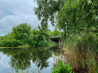 Fleuve en été