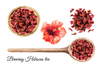 Hibiscus tea brewing set, top view.  Hand drawn watercolor illustration, isolated on white background