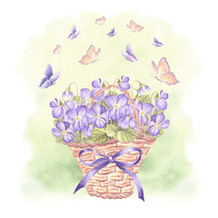 Wild violets and butterflies in wicker basket with bow and rbbons. Spring watercolor illustration. Isolated hand drawn pansy bouquet. Vintage drawing template for card, tableware, textile, embroidery.