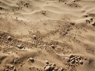 Obraz premium footsteps in the sand