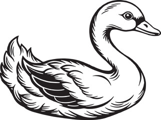 Swan black and white isolated on white background. Vector illustration.