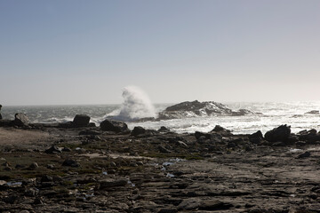 Namibia Atlantic coast on a sunny autumn day