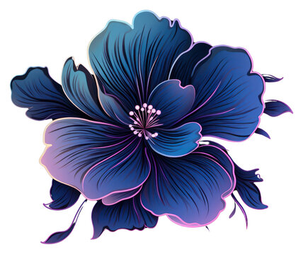 recommend clip art: PNG Illustration flower bloom rim light pattern purple plant.