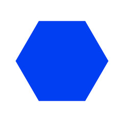 Blue hexagon icon