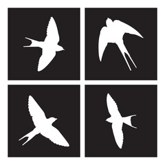 Swallow logo