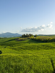 jedno ze słynnych wzgórz w Toskanii na którym stoi tradycyjna willa otoczona zielonymi polami...
