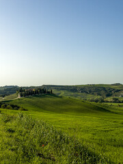 Fototapeta premium jedno ze słynnych wzgórz w Toskanii na którym stoi tradycyjna willa otoczona zielonymi polami uprawnymi i wysokimi cyprysami