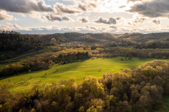 Spring Pasture