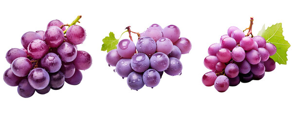 A photo of three bunches of purple grapes.